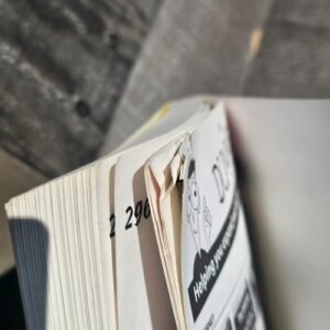 option trading for dummies