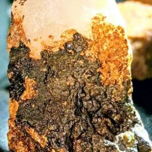 Gold Specimens