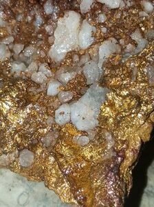 Gold Specimens