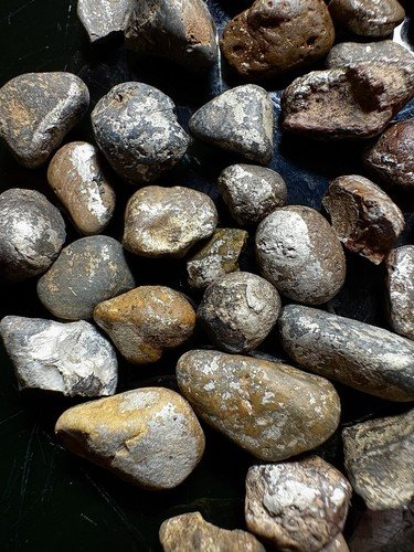 39.76 Gram Lot Of Platinum And Gold Ore From Oregon