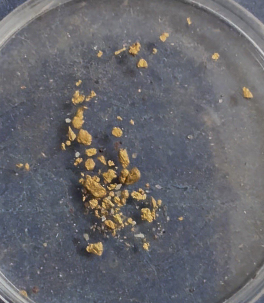 1 LB Paydirt Texas Creek .25 Guaranteed Added Gold 3 Picker Nuggets Minimum
