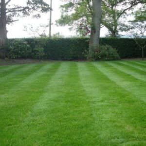 BEST 15-15-15 All purpose TRIPLE PRO lawn, garden, farm and food plot fertilizer