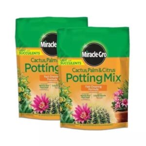 2-Pack Miracle-Gro 8 Qt. Cactus Palm and Citrus Potting Mix Soil (16 Qt Total)