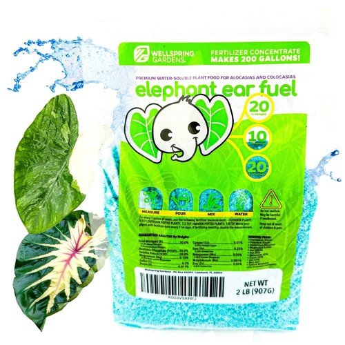 Elephant Ear Fuel Plant Fertilizer - Water-Soluble 20-10-20 - (1 or 2 LB bag)