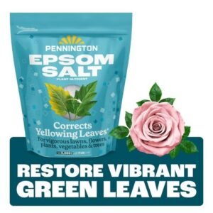 Pennington Epsom Salt Plant Food Fertilizer, 7 Lb