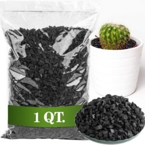 Horticultural Charcoal for Plants 1Qt Organic Biochar for Soil Bonsai Terrarium
