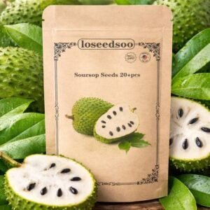 Soursop Seeds 20+ for Planting – Non-GMO Graviola Guanabana Seeds