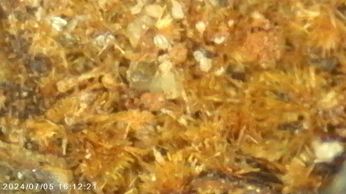 1784197450_s-l500.jpg