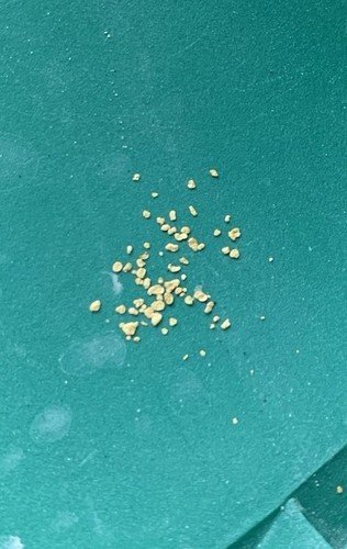 1784202513_s-l500.jpg