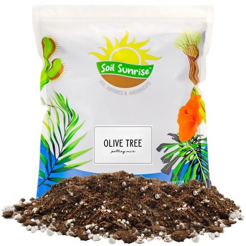 Olive Tree Potting Soil Mix to Plant Repot and Grow Olive Bushes / Plants
