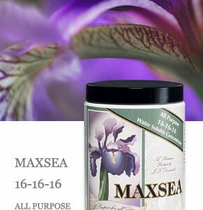 Maxsea All Purpose 16-16-16 Plant Food 1.5 lbs water soluble seaweed fertilizer