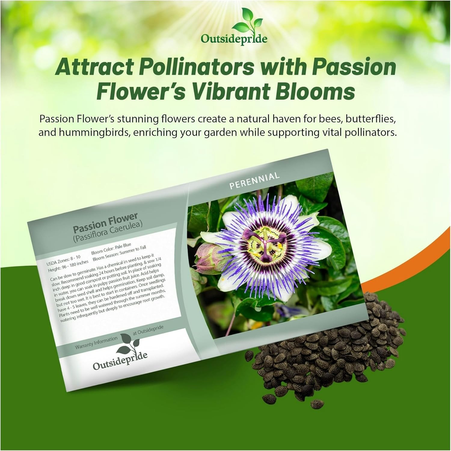 100 Seeds Passion Flower Seeds - Passiflora Caerulea Flower Seed