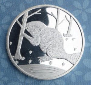 1784310993_s-l500.jpg