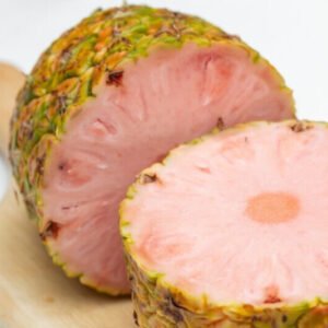 15+ Pinkglow Pineapple Seeds for Garden Planting - USA - FREE SHIPPING!