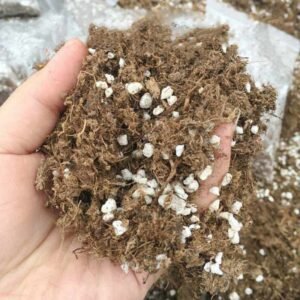 Orchid Plant Potting Soil Mix Peat Moss & Perlite, 4 cups, free shipping