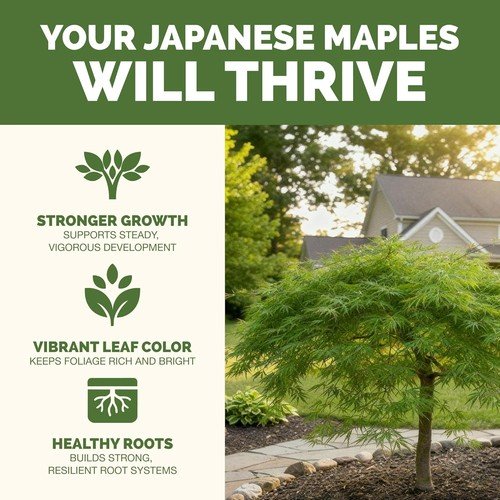 Japanese Maple Fertilizer – Liquid Plant Food for Vibrant Color, Stronger Roots