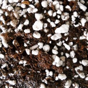 ORGANIC Potting Soil Mix Sphagnum Peat Moss 50% & Perlite 50% - 5 cups-