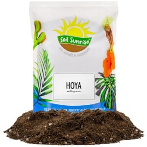 Hoya Plant Potting Soil Mix, Custom Blend for Growing Hoya Tropical Houseplants
