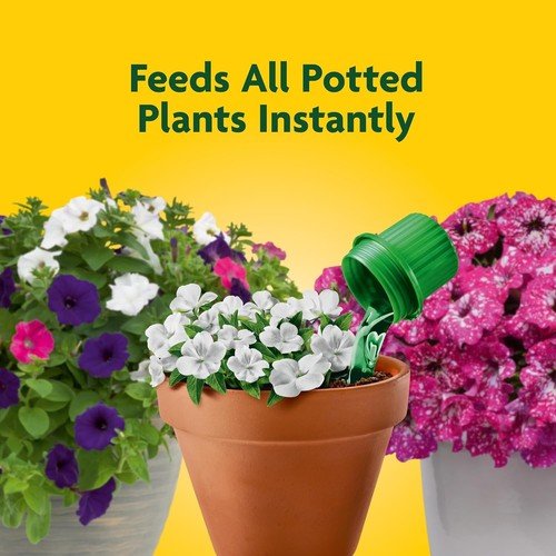 Miracle-Gro Pour & Feed | Liquid Plant Fertilizer 32oz & Singles