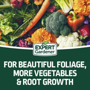 (2 Pack) Expert Gardener 10-10-10 All Purpose Plant Fertilizer 40 lb Bags 80 lbs