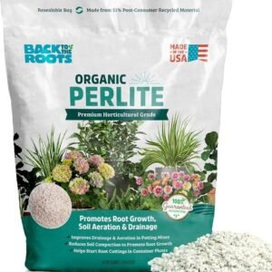 Back to the Roots 100% Organic Perlite for Indoor & Outdoor Plant Soil Drainage