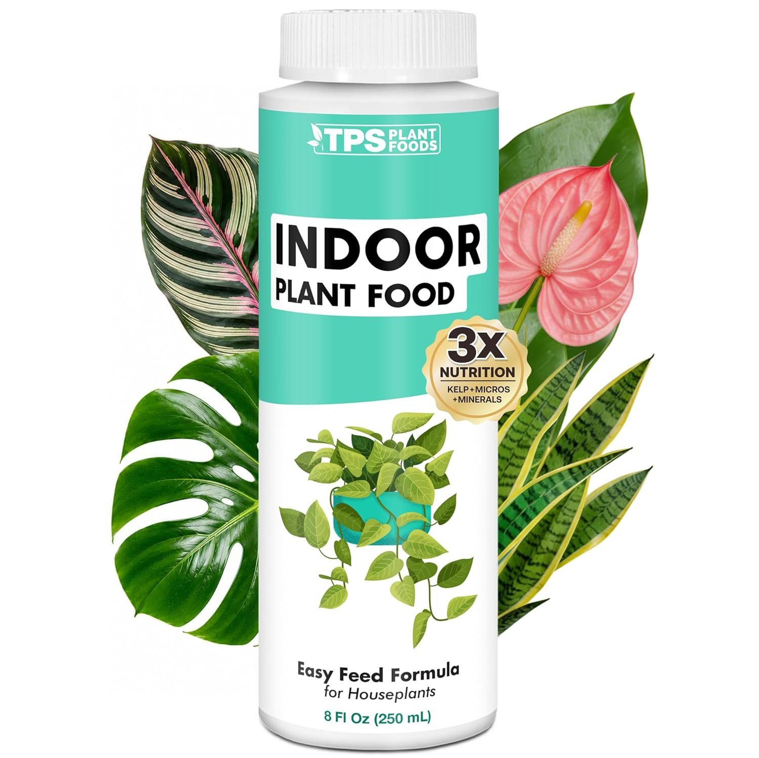 Indoor Plant Food – Liquid Fertilizer for Houseplants, New Growth, Greener
