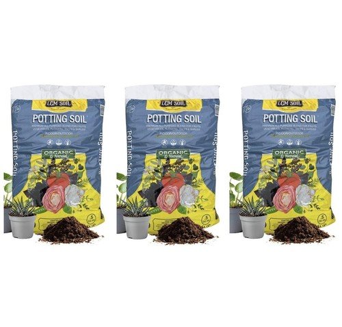 Pumice for Plants, 3 Quarts Horticultural Pumice Stone, Natural Soil Amendment