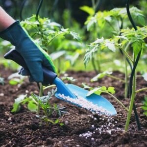 10 LBS ALL PURPOSE 10-10-10 FERTILIZER FOR VEGETABLE & FRUIT GARDEN, LAWN & MORE