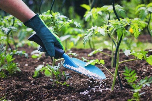 10 LBS ALL PURPOSE 10-10-10 FERTILIZER FOR VEGETABLE & FRUIT GARDEN, LAWN & MORE