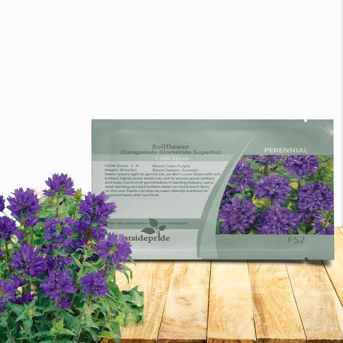 1000 Seeds Bellflower Seed - Bellflower Superba Perennial Flower Seeds