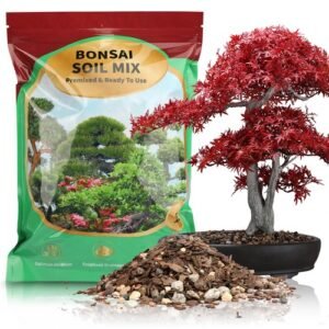 Premium Bonsai Soil Mix 1qt Professional Potting Mix for Aeration & Drainage