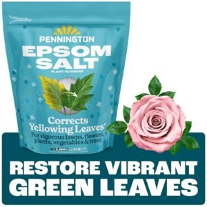 Pennington Epsom Salt Plant Food Fertilizer 7 lb