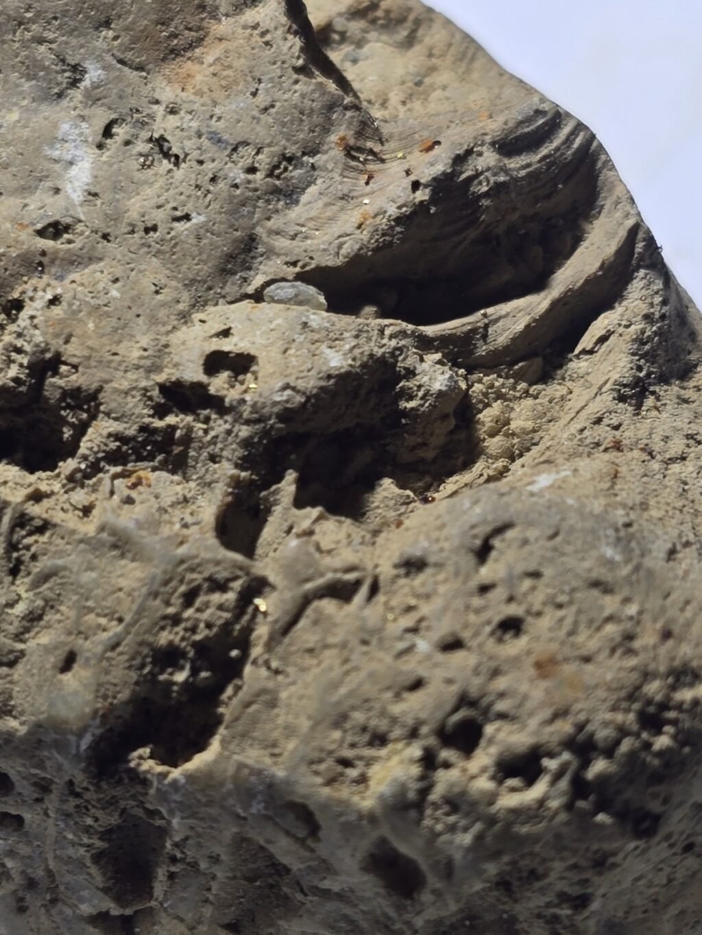 1784598482_s-l1600.jpg