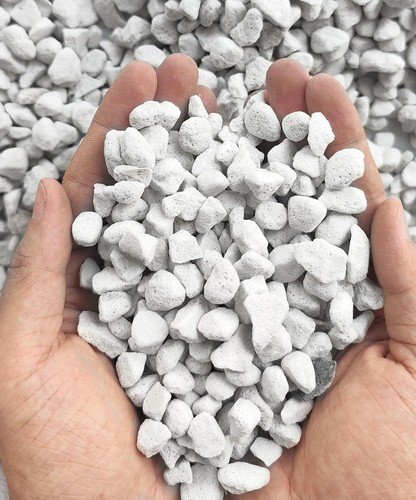 10QT Organic Perlite Horticultural Soil Amendment for Plants Enhanced Drainage