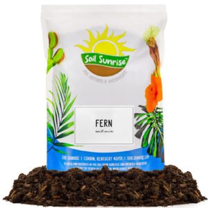 Fern Plant Potting Soil Mix Custom Blend Mix Indoor/Outdoor Container Gardening