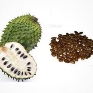 300 Soursop Seeds Graviola (Annona Muricata) Guanabana