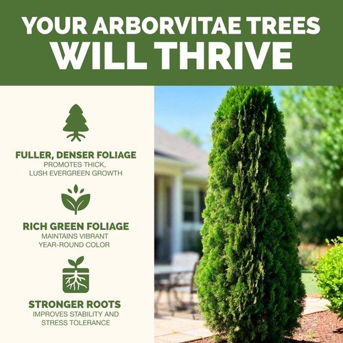 Arborvitae Tree Fertilizer – Liquid Plant Food for Fuller Green Foliage, Fast...