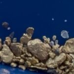 TEXAS GOLD PAYDIRT 1LB Unsearched Real Gold Flakes Pickers Authentic TX. FIND