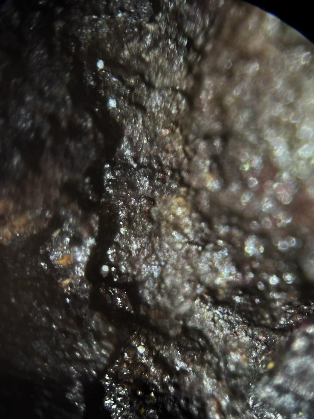 1784678257_s-l1600.jpg