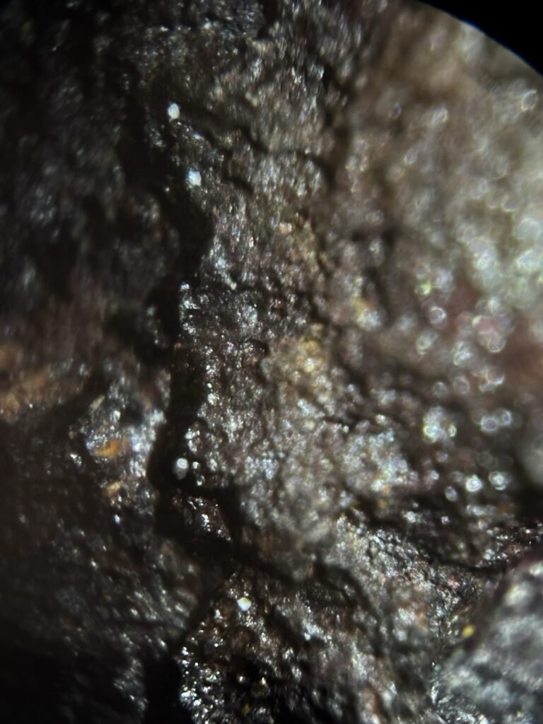 1784678257_s-l1600.jpg