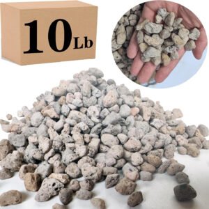 Garden Pumice Rock Horticultural Cactus Bonsai Succulent Soil Additive for Plant