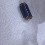 GEMSTONE LOT OF 18 PIECES TAKEN OUT OF SCRAP GOLD Jewelry