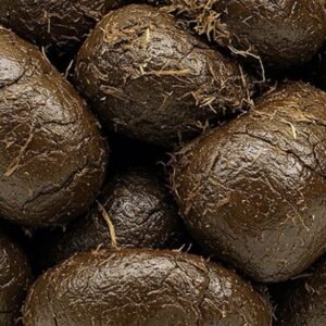 4+ pounds Fresh All Purpose Horse Manure - Organic Gardening Fertilizer Flowers