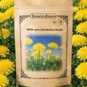 4000+ Dandelion Seeds for Planting – Heirloom Non-GMO Taraxacum Officinale Seeds