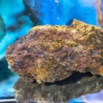 1 lbs. 11.8 oz   Copper, Silver, Gold Ore Specimen California Desert Mineralized