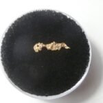 Eagle, Bird Wing CALIFORNIA  GOLD NUGGET .111 GRAM GOLD Colfax area