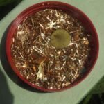 30 grams trimmed 24 kt scrap computer pins/other for GOLD RECOVERY