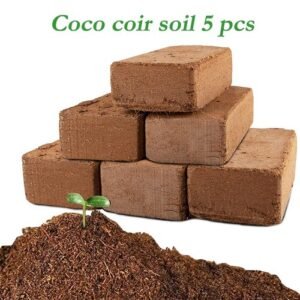 Horticultural Charcoal for Indoor (4 Quarts) Hardwood Soil Additive for Orchids