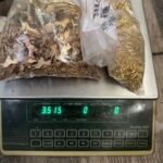 3.5 Pounds Of Vintage Gold Plated Items For Scrap Recovery Or ? XRF Tested