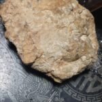 gold ore in quartz